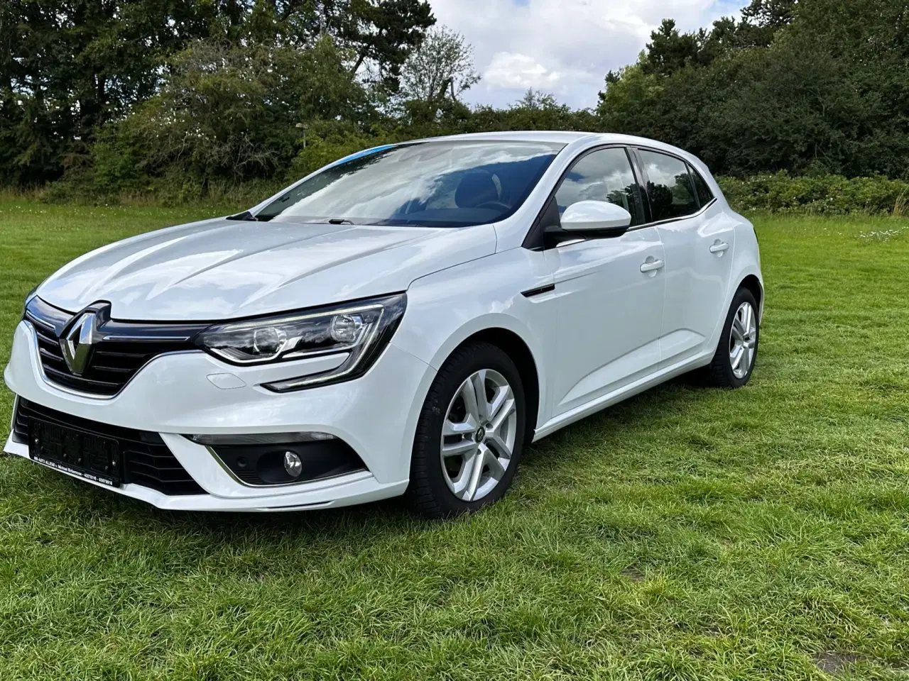 Billede 1 - Flot Renault Megane NY MODEL