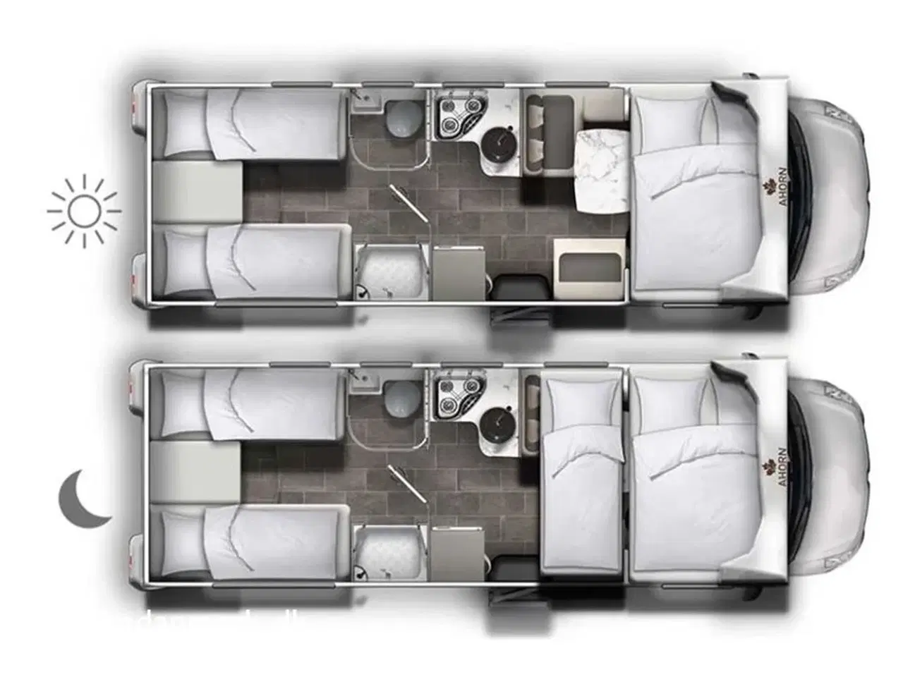 Billede 4 - 2025 - Ahorn Canada AE   Canada AE 2024