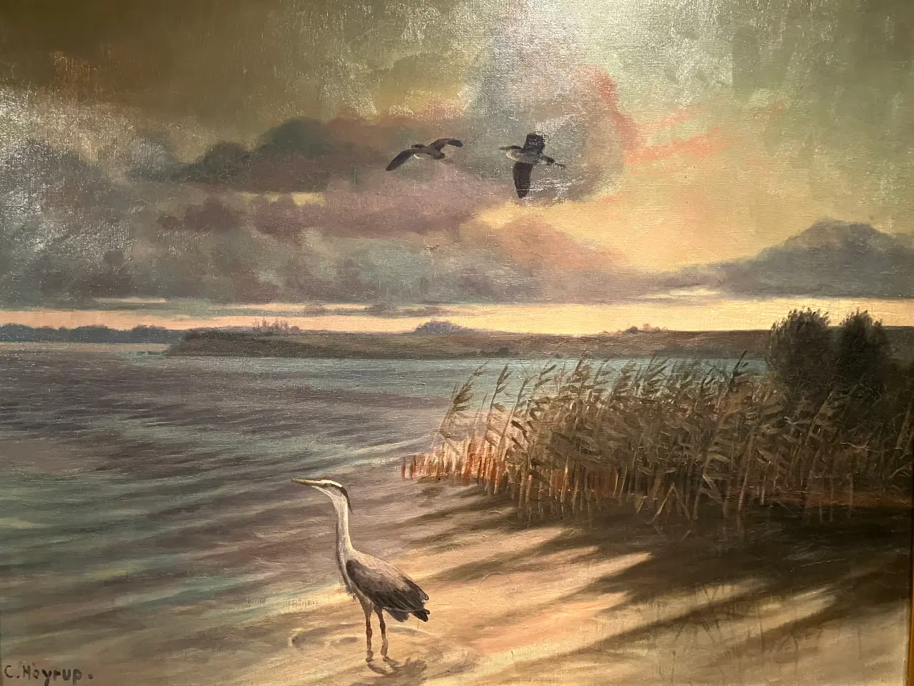 Billede 1 - Natur maleri C. Høyrup
