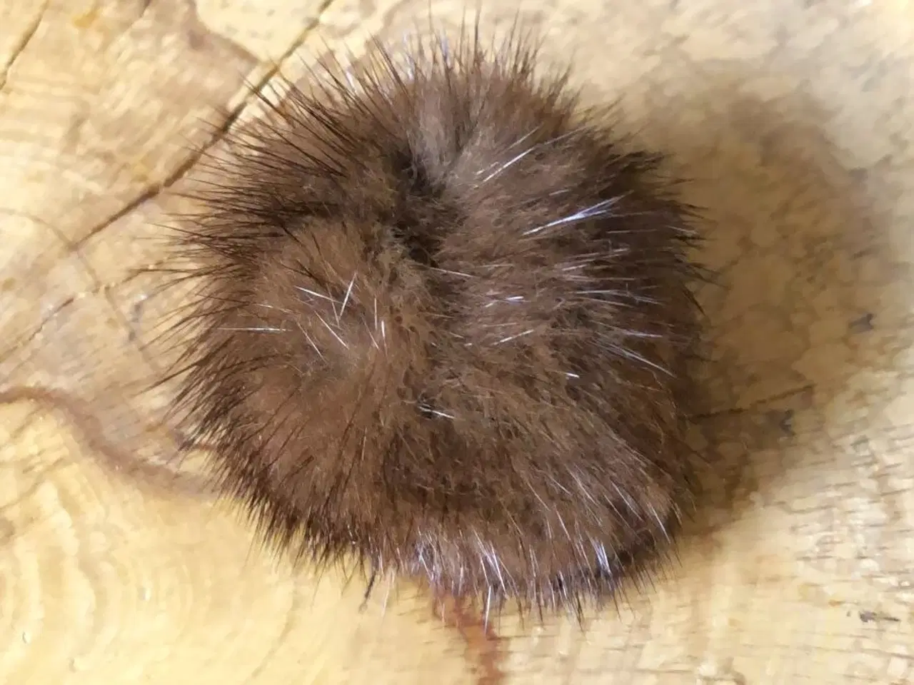 Billede 1 - Pompon i ÆGTE MINK