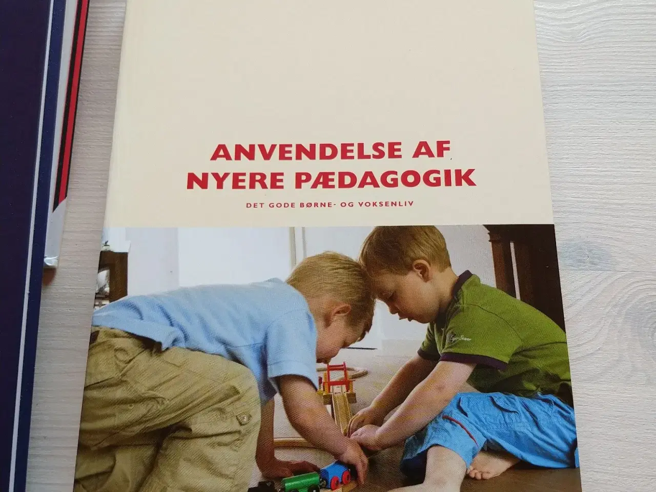 Billede 3 - Pædagogiske fagbøger