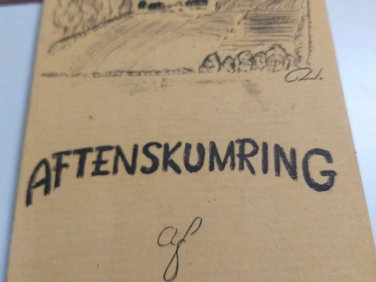 Billede 1 - Aftenskumring