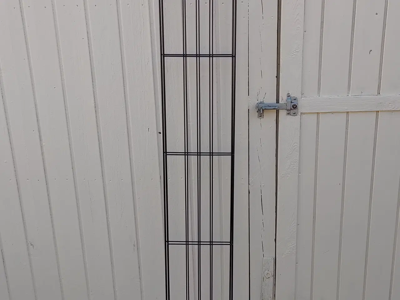 Billede 1 - Haveespalier, todelt!