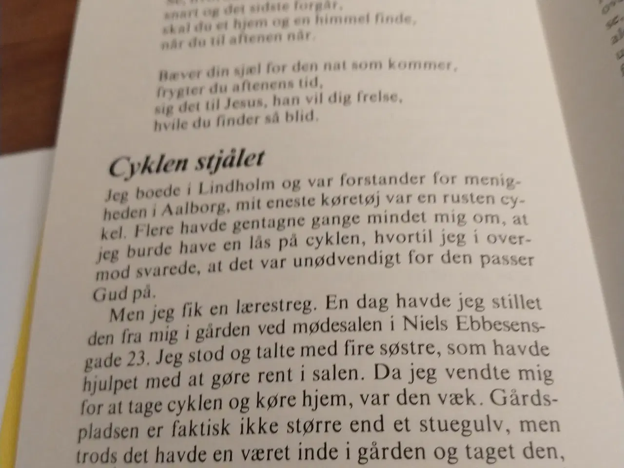 Billede 5 - Aftenskumring
