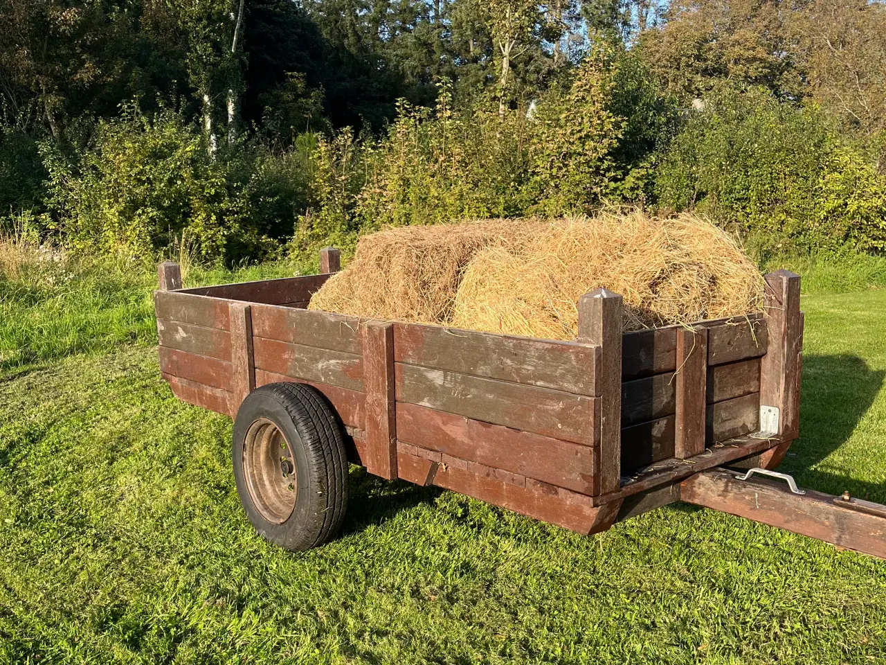 Billede 1 - Vogn til lille traktor
