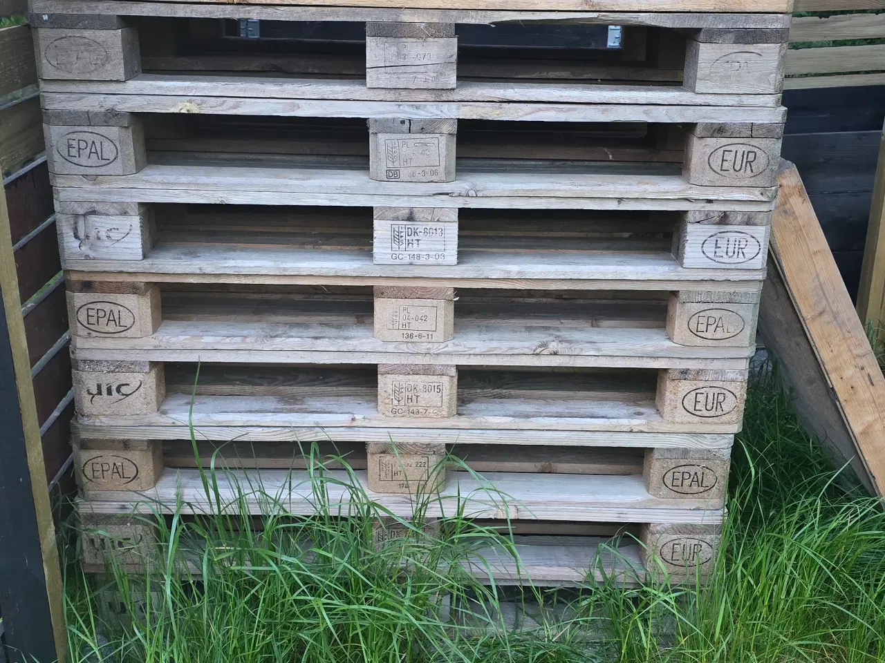 Billede 3 - Europaller bortgives