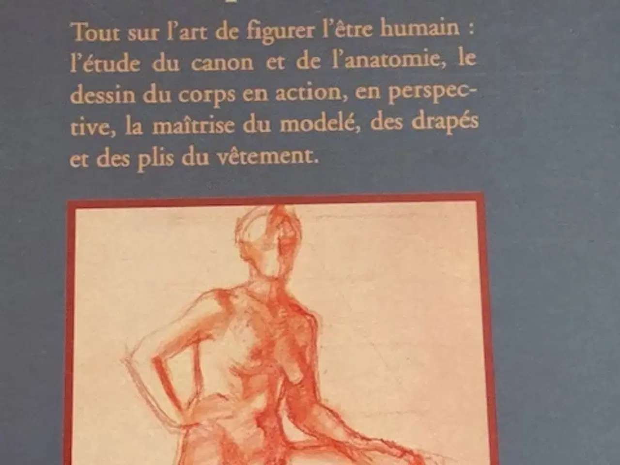 Billede 2 - Tegn en krop - Comment dessiner le Corps Humain