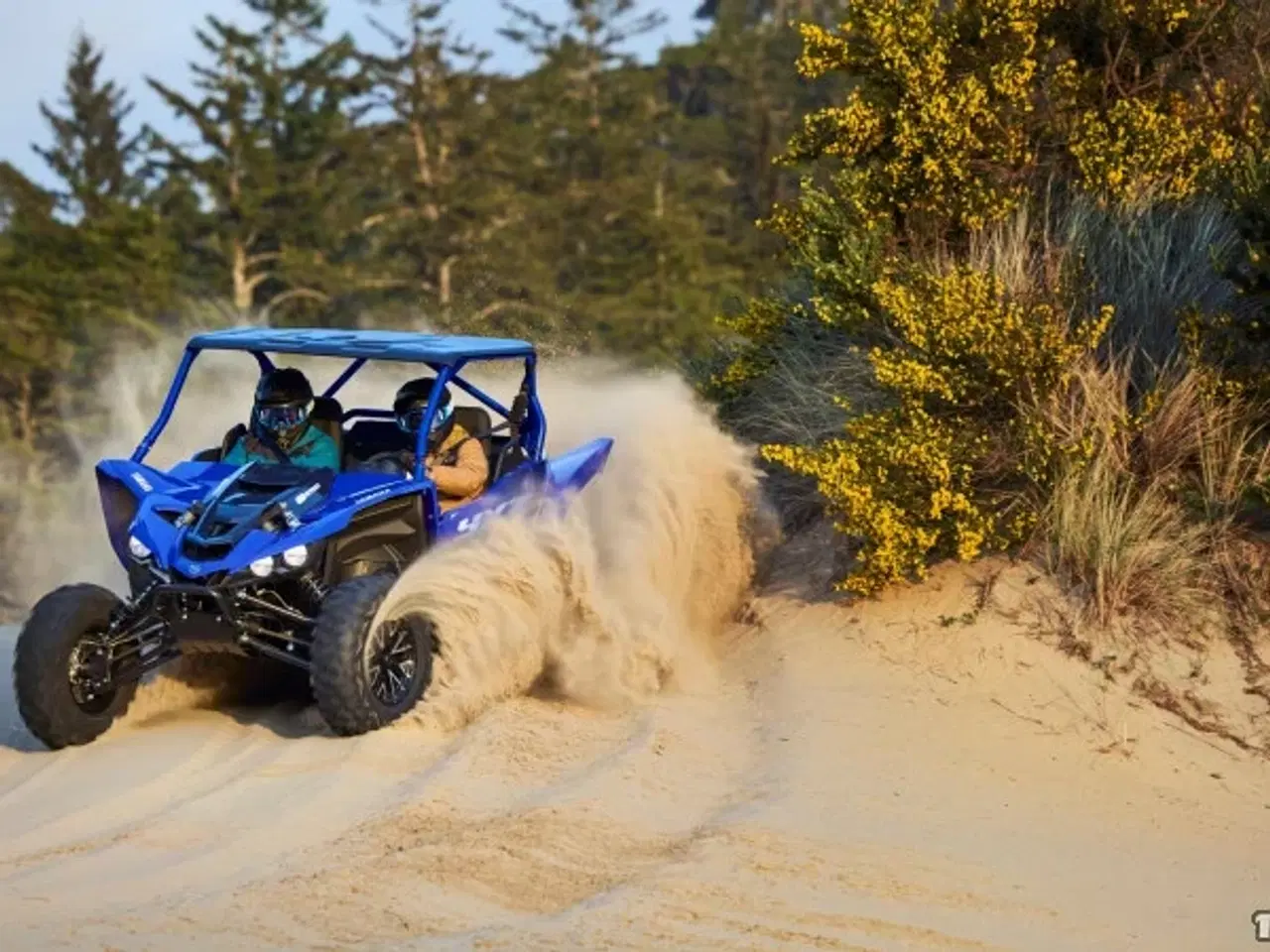 Billede 4 - Yamaha YXZ 1000 R SS