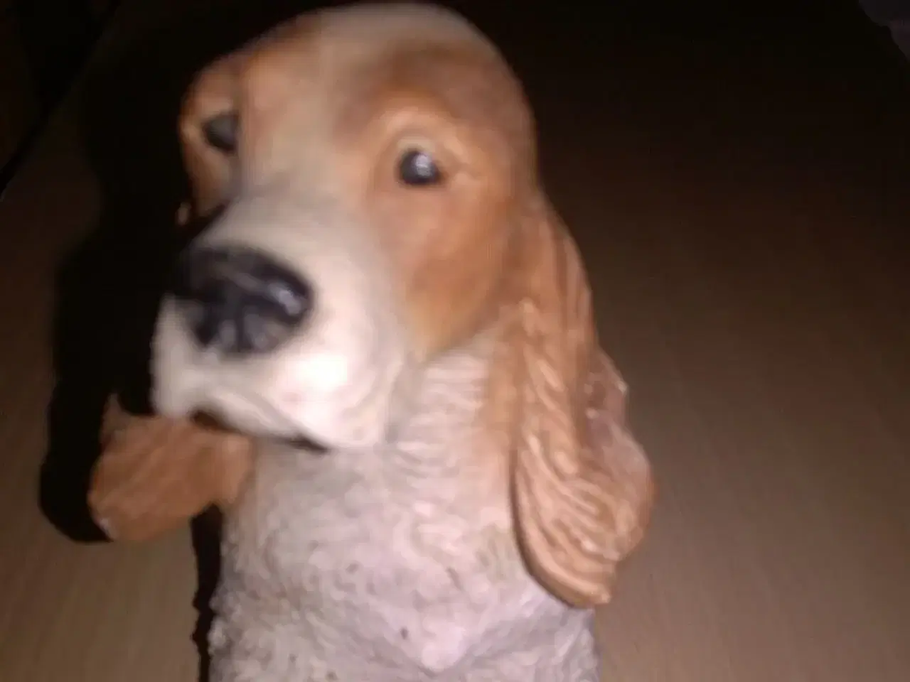 Billede 1 - Amerikanske cockerspaniels