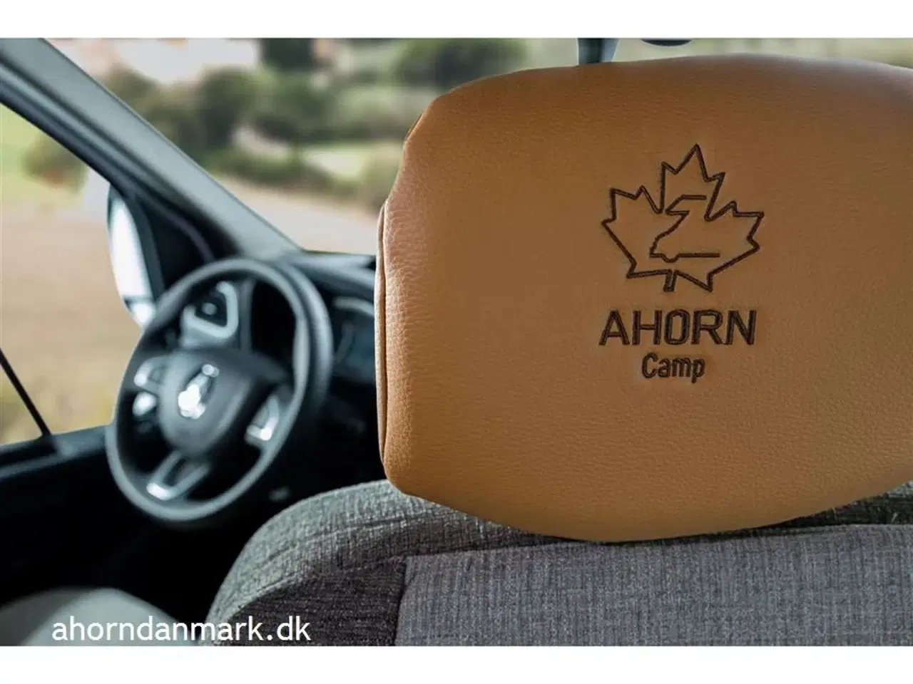 Billede 12 - 2025 - Ahorn Canada AE   Canada AE 2024