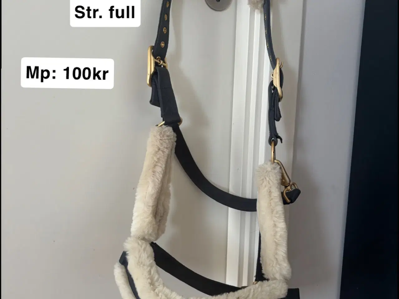 Billede 10 - Rideudstyr sælges 