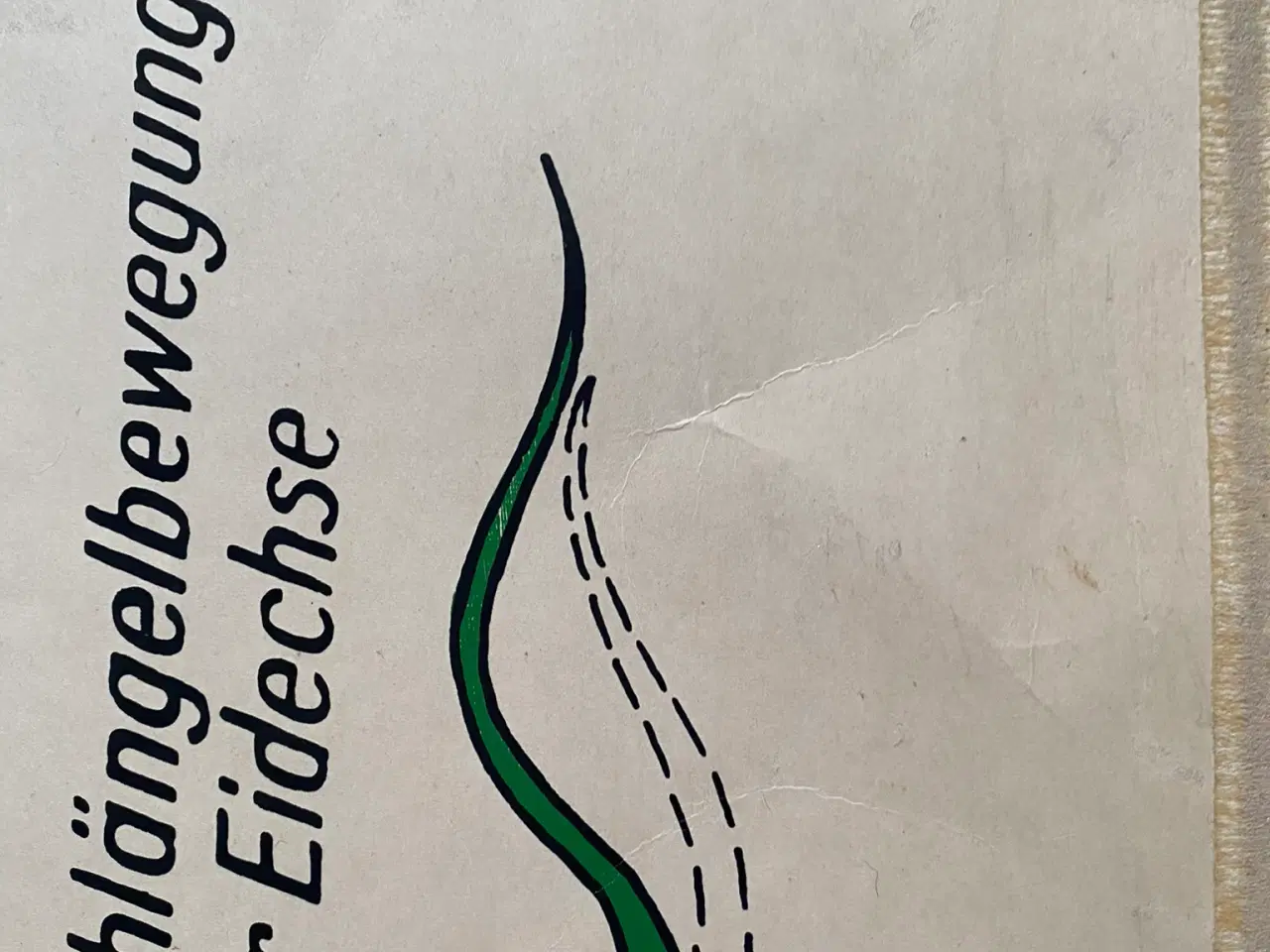Billede 3 - Anskuelsestavle Reptilier