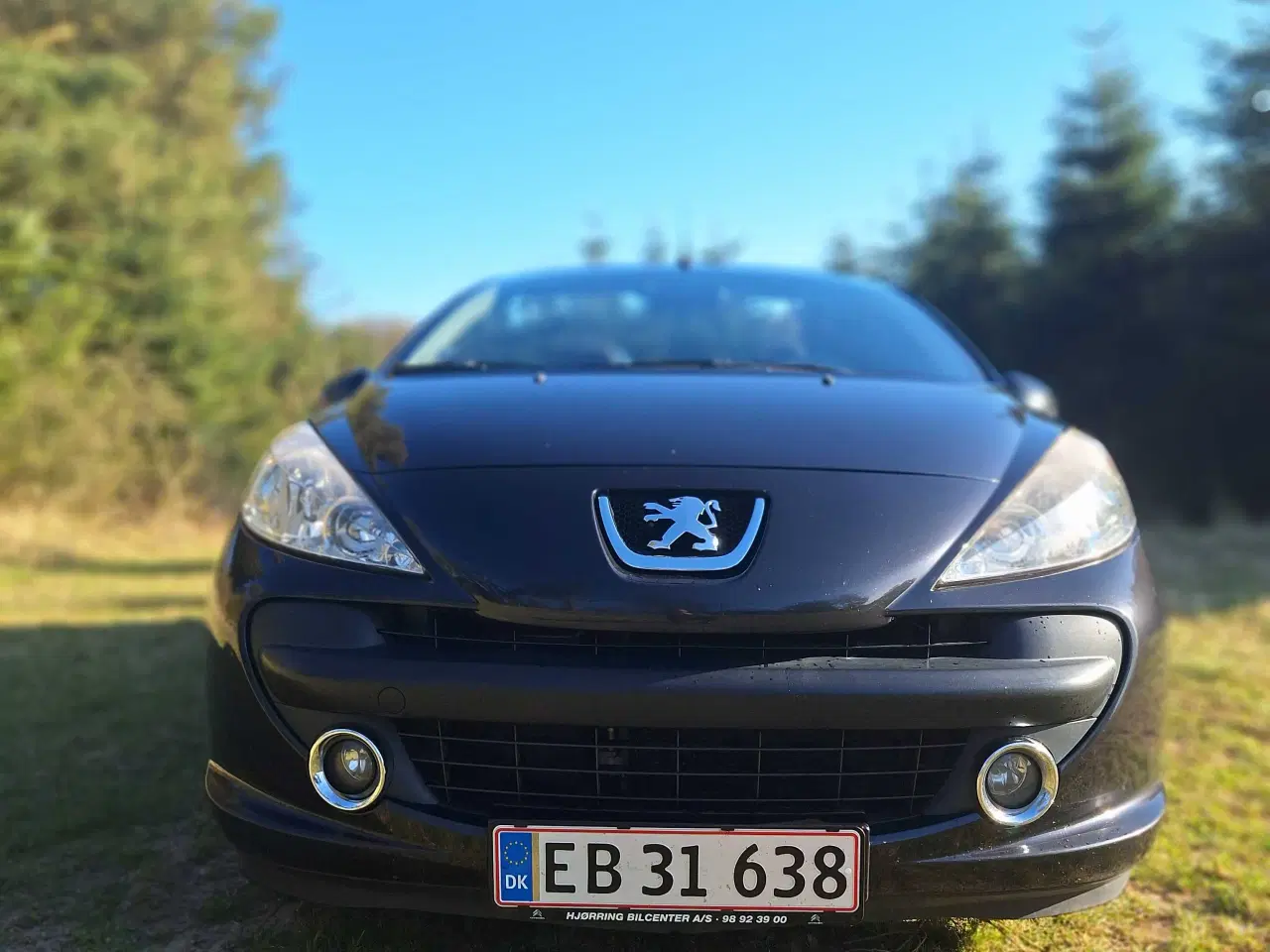 Billede 2 - Peugeot 207 CC