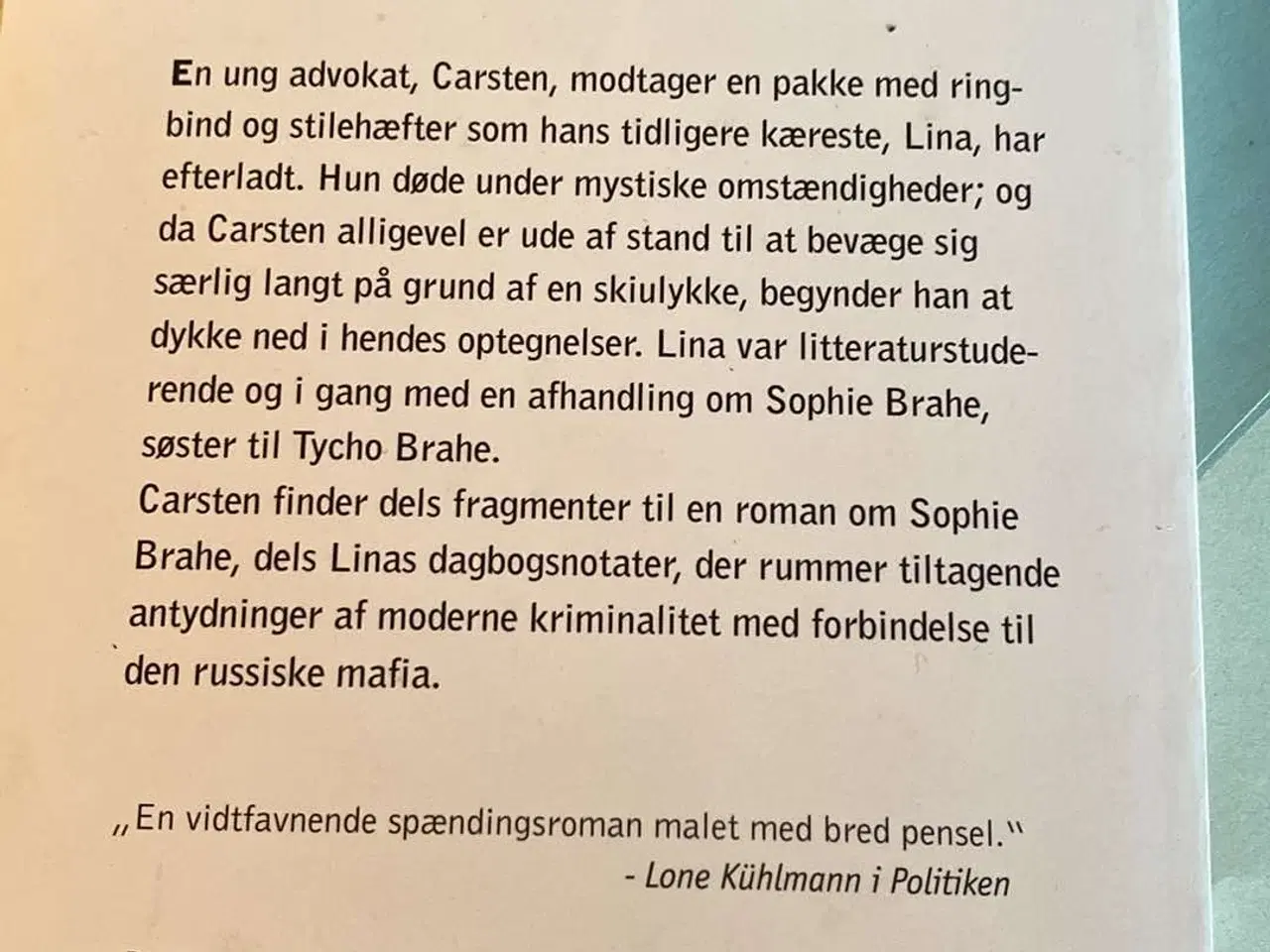 Billede 2 - Når fisken fanger solen 