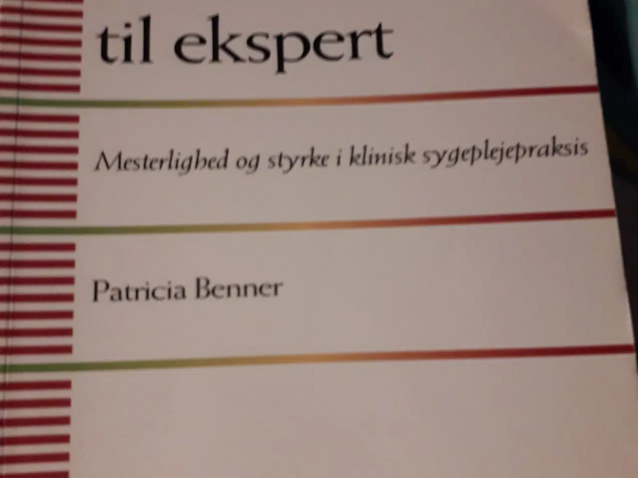 Billede 1 - Fra Novice til ekspert