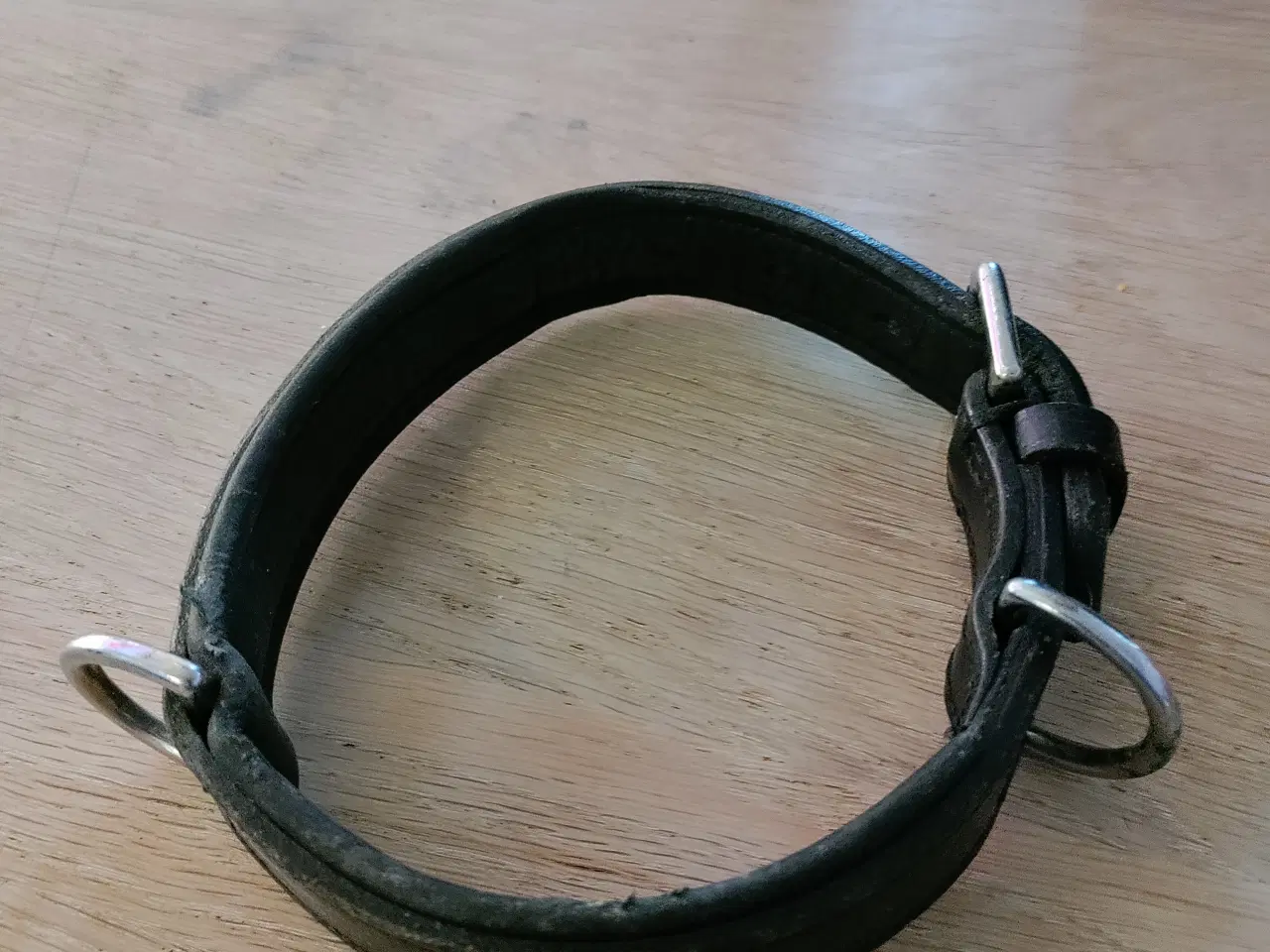 Billede 6 - Halsbånd og andet udstyr til hunde.