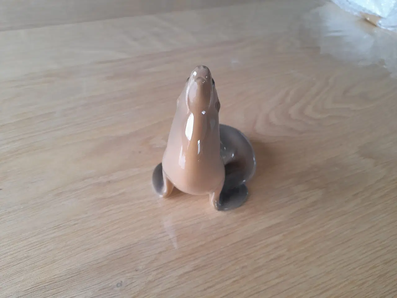Billede 1 - Søløve.