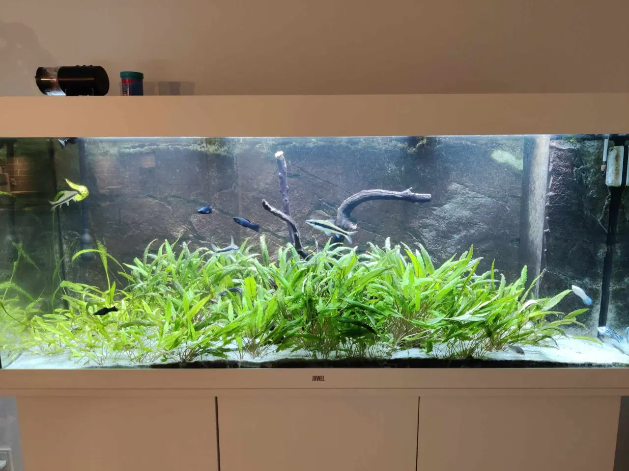 Billede 4 - Juwel 450L Akvarie