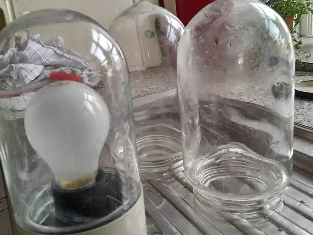 Billede 2 - 2 gamle glas til staldlamper, og en komplet