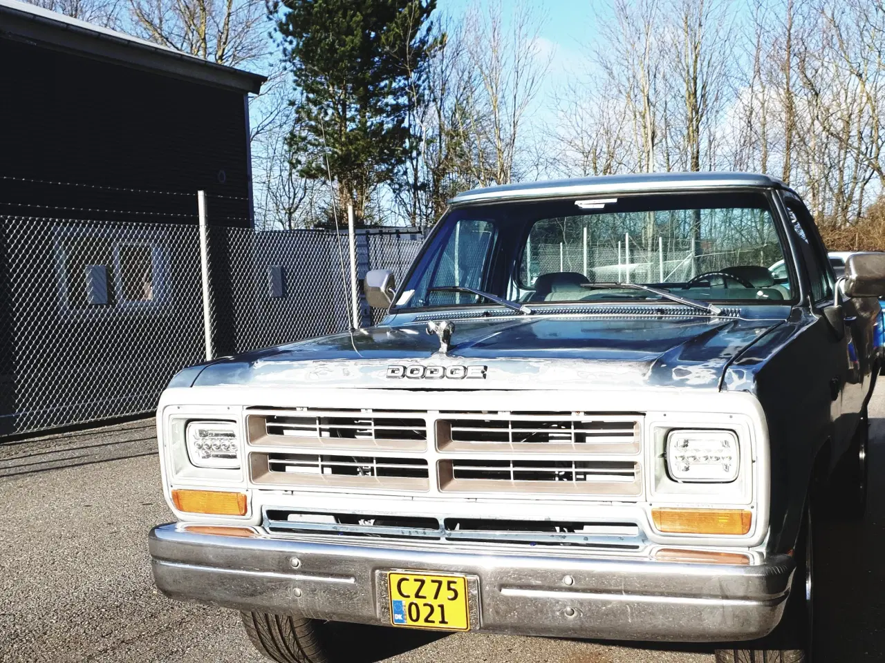 Billede 1 - DOGE  RAM   150   v8  