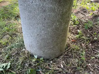 Plantekummer beton 