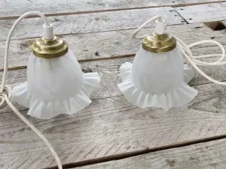 Lampetter 