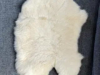 Kaninskind