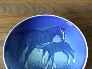 29 hesteplatter B&G
