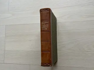 Daglig fornyelse