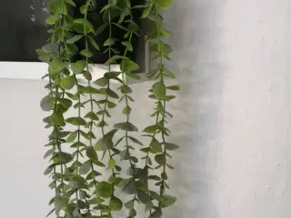NYE kunstige grønne hænge planter 