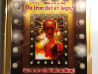 Du tror, det er løgn, Ripley