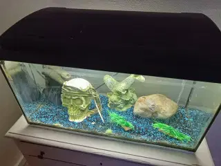 Akvarium 