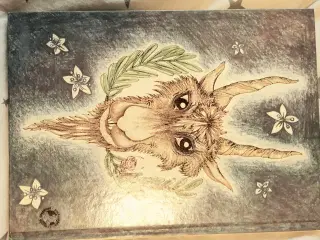Bog 