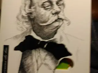 Bog om Flauberts Madame Bovary.