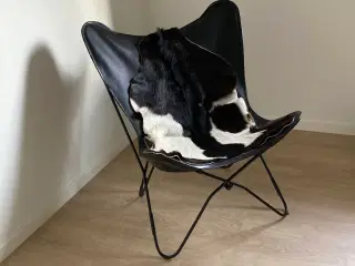 Flagermus stol