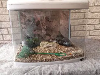 Akvarier 60L