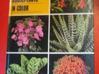 Rob Herwig: 201 Houseplants in Color