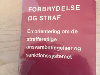 Forbrydelse og straf