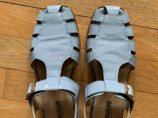 Angulus sandaler