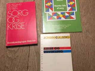 Sorg og krise, Krise og udvikling