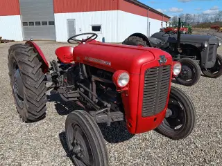 Massey Ferguson  35   Traktor Benzin