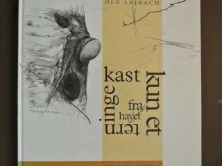 kun et terningekast fra havet, af bue nordström. i