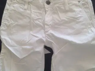 Diesel shorts