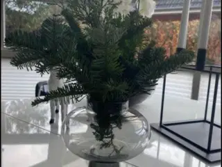 Vase 🌸