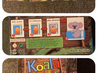 Koala Grow egg 