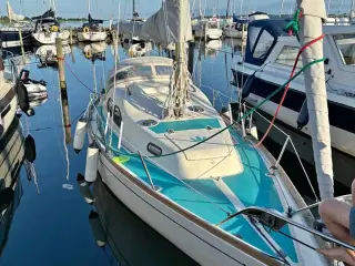 Kings Cruiser 29 sejlbåd