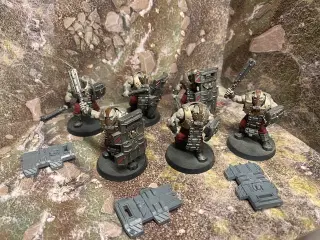 Warhammer Bullgryns