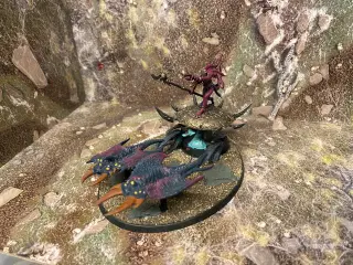 Warhammer Fateskimmer, Herald of Tzeentch on Burni