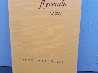 I det flyvende støv - Et Digt
