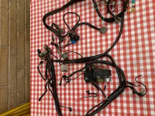 Moto Guzzi Ledningsnet